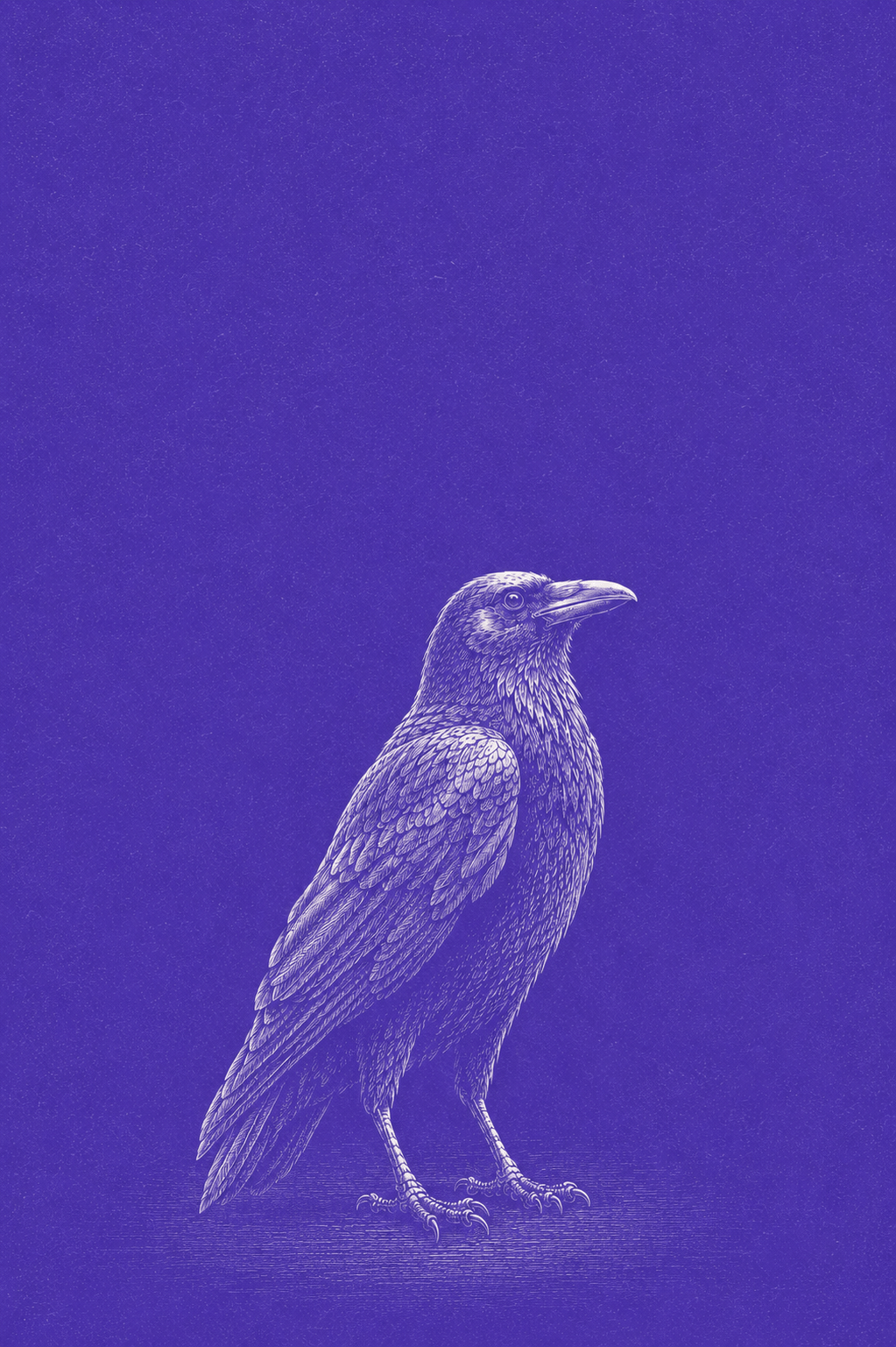 An engraved crow standing watch